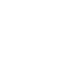 Item Level